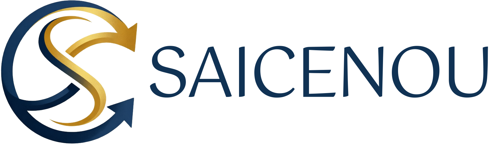 SAICENOU (HK) CO., LIMITED